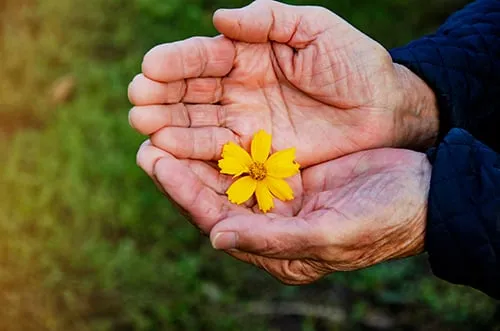 The Link Between Gut Health and Aging